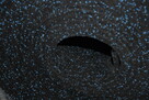 Mat aw rolce gumowa SBR nakrapiana EPDM 10mm mix kolor - 7
