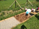 Animator, urodziny, wesela, pikniki rodzinne - 3
