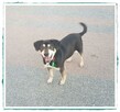 LUCKY – przyniesie szczęście w zamian za odrobinę serca - 4