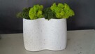 Donica z mchem beton architektoniczny, beton arch - 2