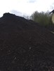 Ziemia czarna czarnoziem ziemia ogrodowa Skierniewice i okol - 2