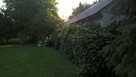 Parośla- Pniski gmina Sławatycze - 3