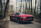 Import samochodów aut auta z USA Francji Niemiec - 2