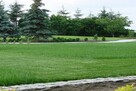 Projektowanie, urządzanie oraz pielęgnacja ogrodów i terenów - 2