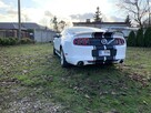 FORD MUSTANG 2013 3.7 305 KM - 2