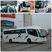 Autobus autokar bus wynajem na wesele - 16