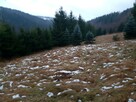 Diałka budowlana w górach w Sucha Beskidzka - 1