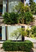 Formowanie i przycinanie drzew i krzewów, spirale, bonsai - 6