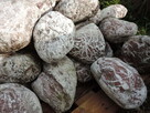 Otoczak czerwony Atlas Red kamień ogrodowy Vanga Kora Granit - 3