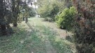 Nieruchomość mieszkalna z zabudowaniami - 7