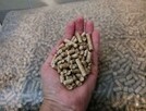 Pellet Sosnowy, Liściasto-iglasty Smyków, Olczyk GOLD WIREX - 12