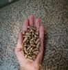 Pellet Sosnowy, Liściasto-iglasty Smyków, Olczyk GOLD WIREX - 10