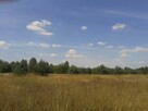 Działka Zuzinów - 11