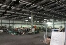 Hala/Magazyn, 10 000 m², Zgierz - 13