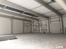 Hala/Magazyn, 4 000 m², Poznań - 2