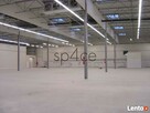 Hala/Magazyn, 2 700 m², Lublin - 2