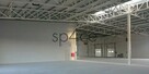 Hala/Magazyn/Warehouse , 4 300 m², Radom - 2