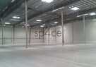 Hala/Magazyn - warehouse, 8 100 m², Piaseczno - 2