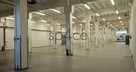 Hala/Magazyn/Warehouse , 1 100 m², Lesznowola - 2