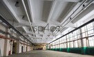 Hala.Magazyn 600 m2 Piaseczno - wynajem - 2