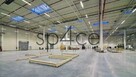 PANATTONI - Magazyn, Hala - Kraków , 4250 m2 - 5