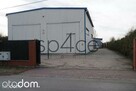 Wynajmę Magazyn . Hale - 600m2 - Warszawa + biura - 9