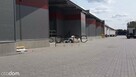 TORUN 3200 m2 - Wynajme Hala Magazyn - 10