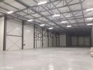 TORUN 3200 m2 - Wynajme Hala Magazyn - 11