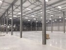 TORUN 3200 m2 - Wynajme Hala Magazyn - 14
