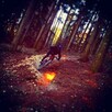 Author / fr / dh / ht / mtb / stunt - 3