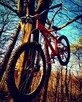 Author / fr / dh / ht / mtb / stunt - 1