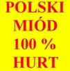 Miód dla pszczelarzy, odbiorców hurtowych. Polski 100%. HURT - 9