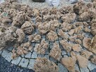 SKLEP OGRODNICZY PW IZBICCY KURIANY - 8