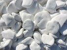 Kamień Biały grys Thasos Śnieżnobiały kamień do ogrodu - 8