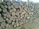 Drewno opałowe sezonowane - 8