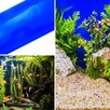Ozdoby - akwarium terrarium - okleina - 3
