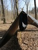 Tarp RIPSTOP -czarny - 5