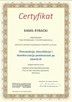 Patogeny COVID-19 Zamgławianie Ozonowanie Profilaktyka - 8