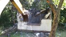 Karczowanie czyszczenie działek wycinka drzew koszenie traw - 6