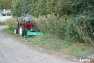 Karczowanie czyszczenie działek wycinka drzew koszenie traw - 2