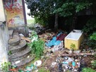 Karczowanie czyszczenie działek wycinka drzew koszenie traw - 14