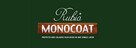 Rubio Monocoat RMC Fumed Efekt poszarzenia 100ml - 3