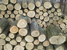 Drewno kominkowe: dąb, dąb czerwony, akacja - cięte i łupane - 4