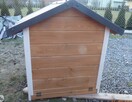 Buda dla psa , doghouse - 4