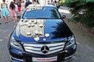 kamerzysta ślubny wideofilmowanie fotografowanie wesel - 14
