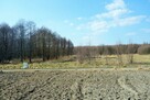 Działka pod lasem przy rzece Strzelce gm. Dobroszyce - 6