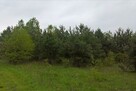 DZIAŁKA BUDOWLANA W CICHEJ OKOLICY! OBOK LASU KABACKIEGO!