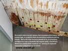 Lokalizacja wykrywanie wycieków wody Bielsko Biała - 17