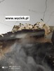 Lokalizowanie wycieków , wyciek wody Gliwice - 11