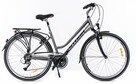Wynajem rowerów i przyczepek Bryza Bikes Willa Bryza - 4